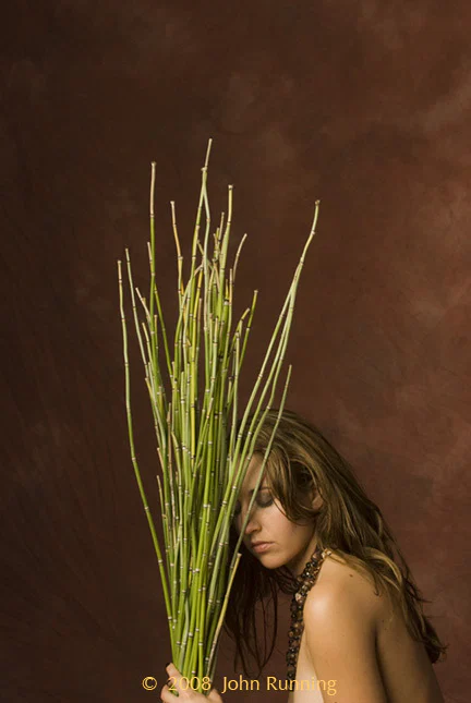 B profile banner