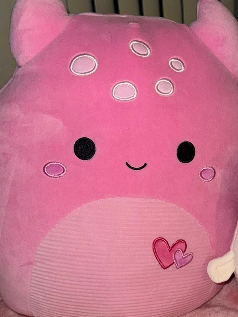 hi profile banner
