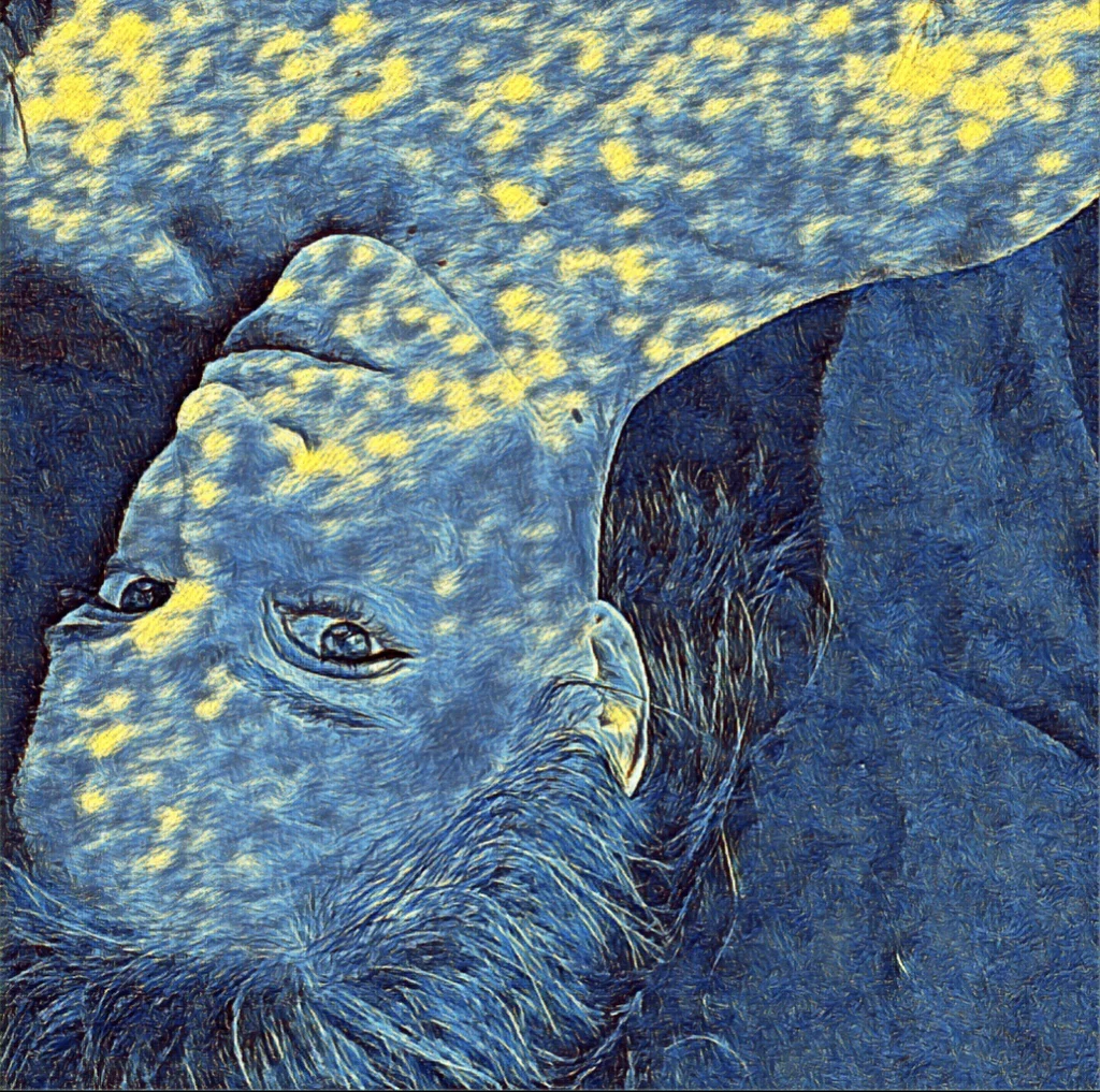 3R's avatar