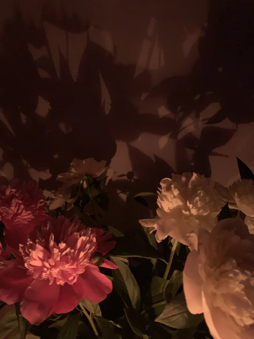 Jullz CM profile banner