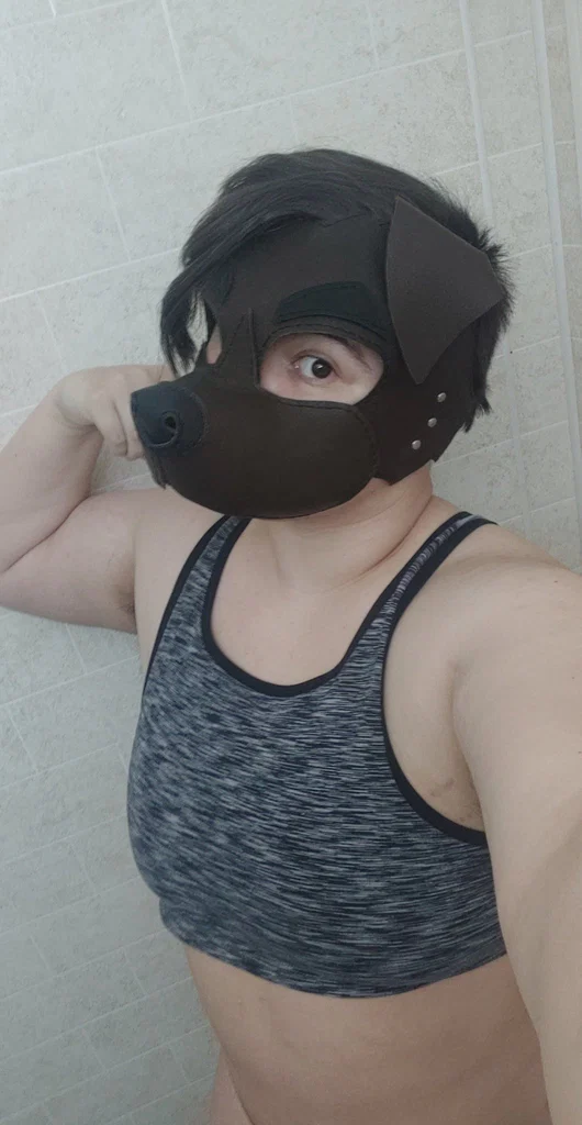 Some times a dog's avatar