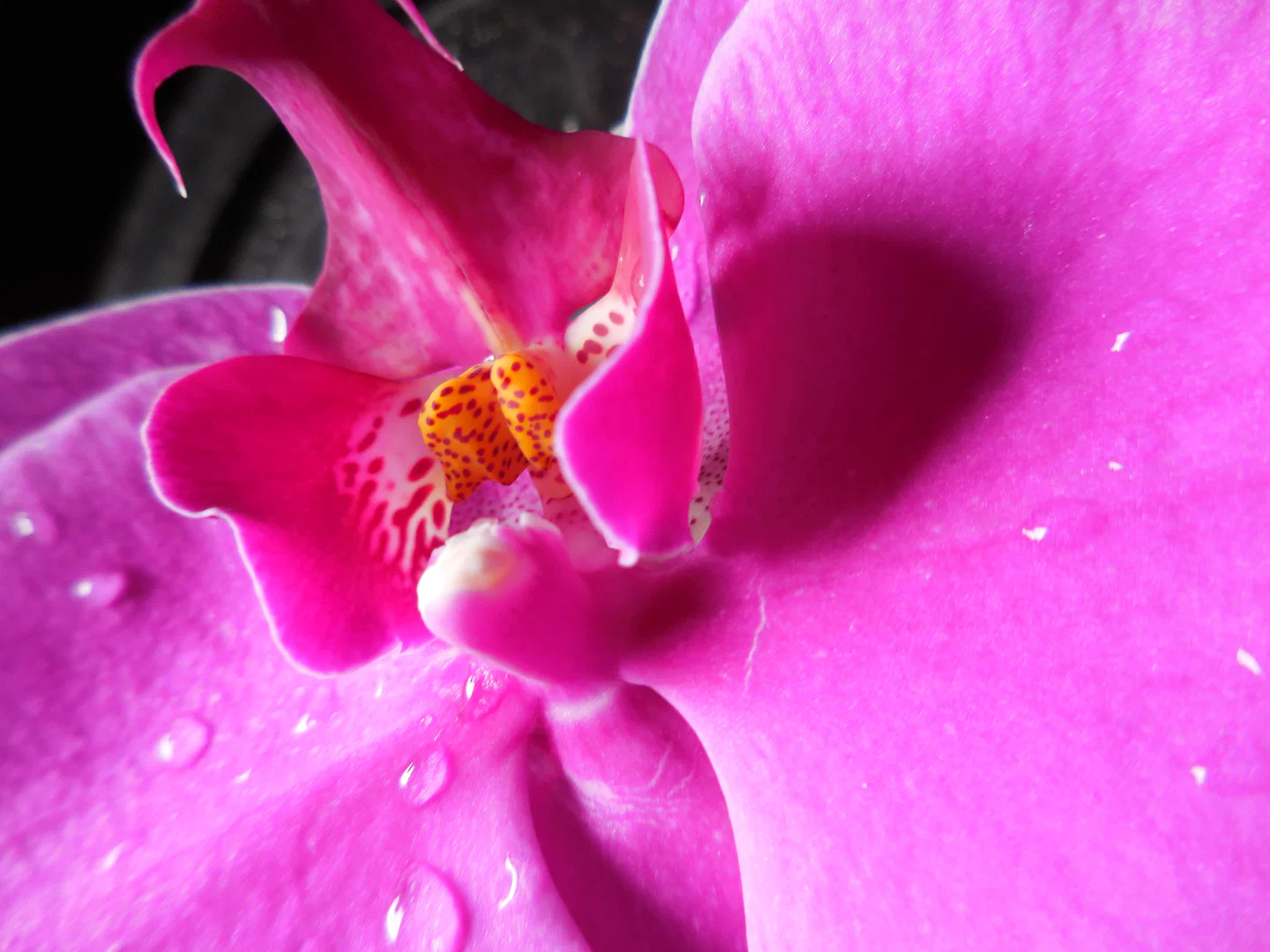 beautifulstranger64 profile banner