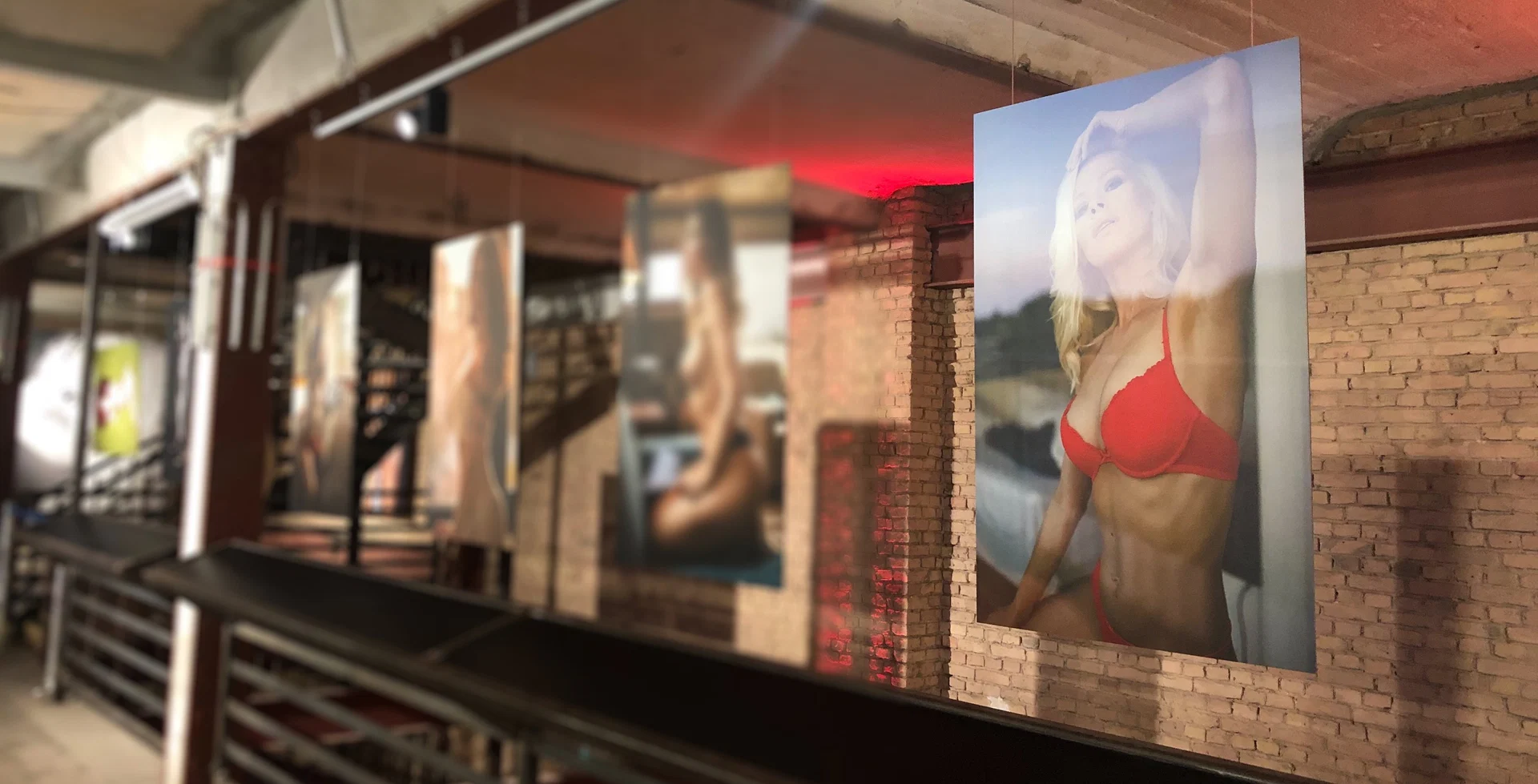 Aliona Kaifa profile banner
