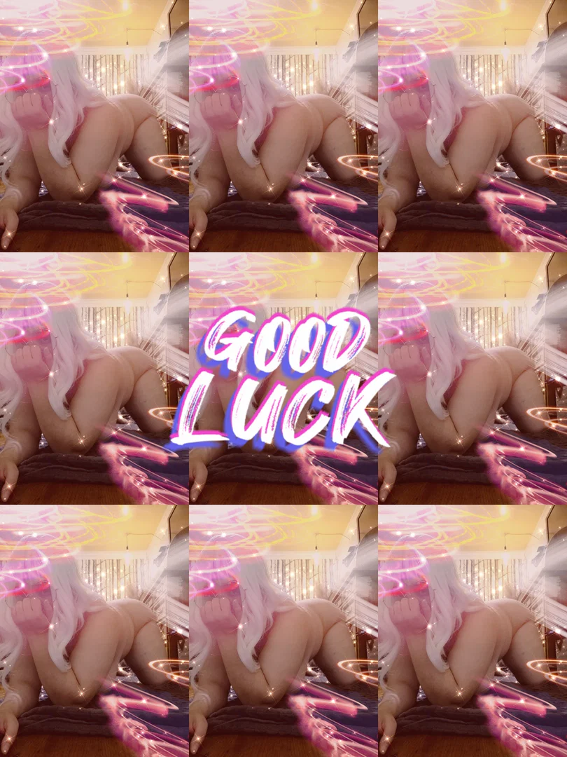 Gordita profile banner