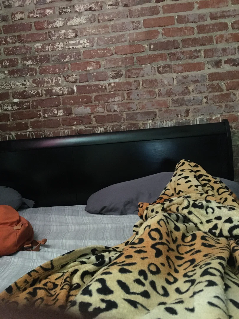 Bigdickmentality profile banner