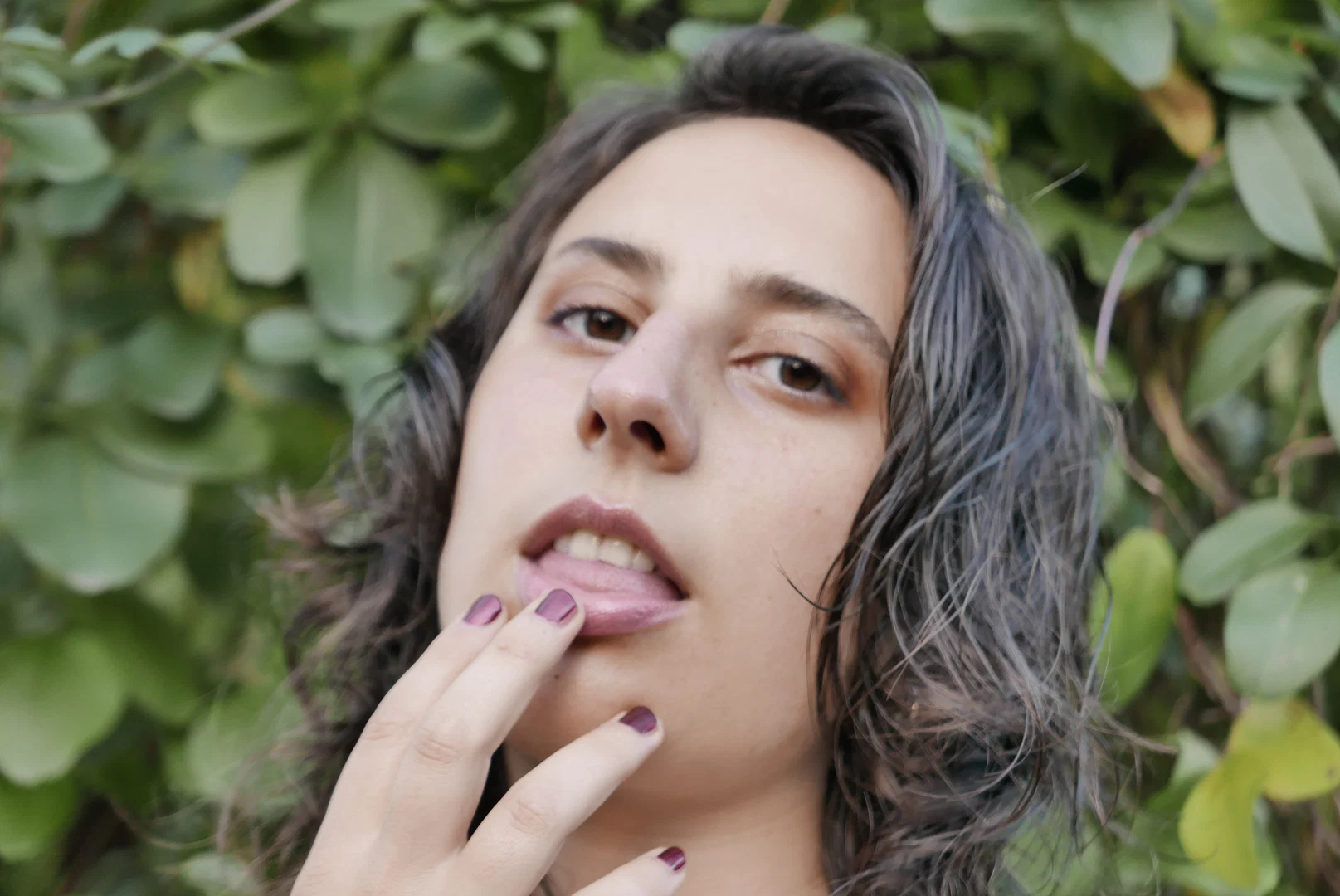 Forest Habibi profile banner