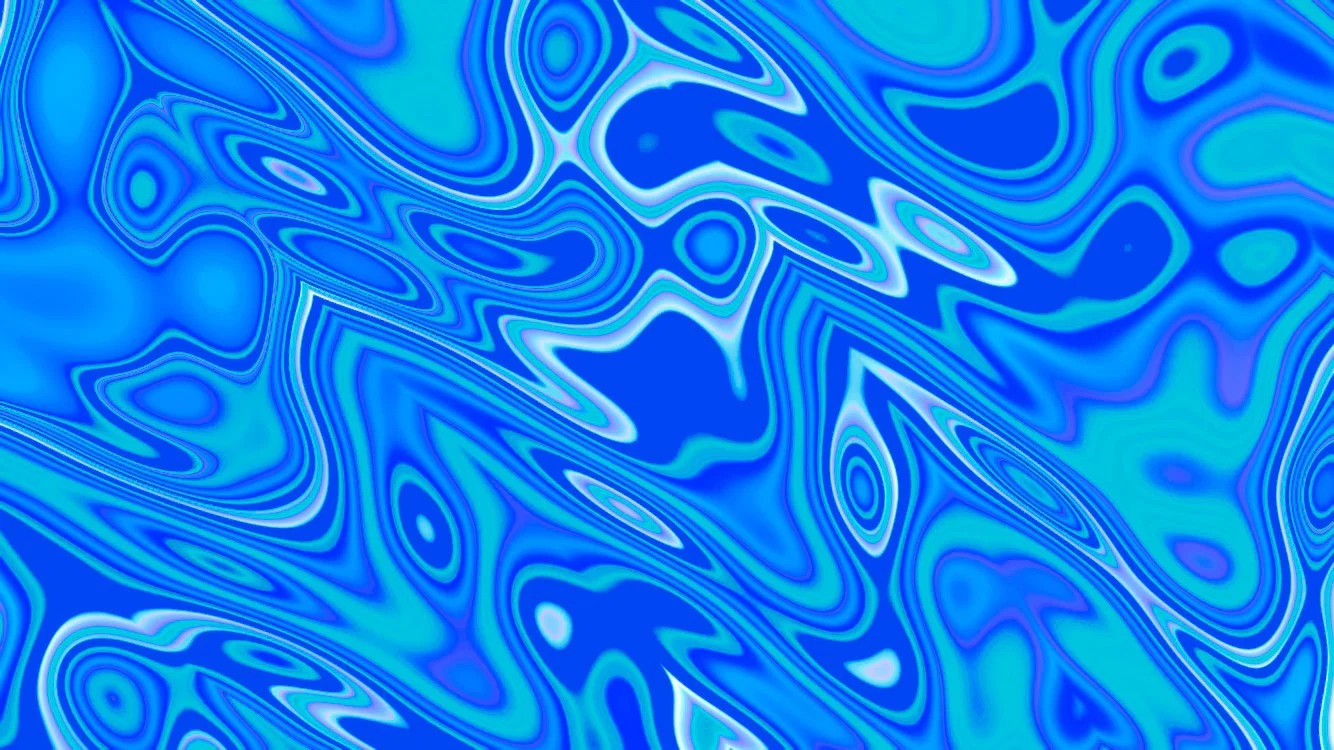 sofia stoner profile banner