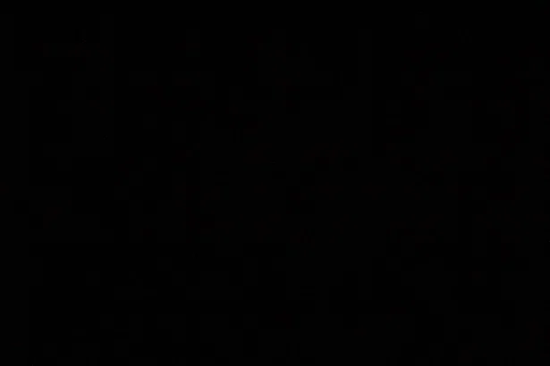 The Daddy Cock profile banner