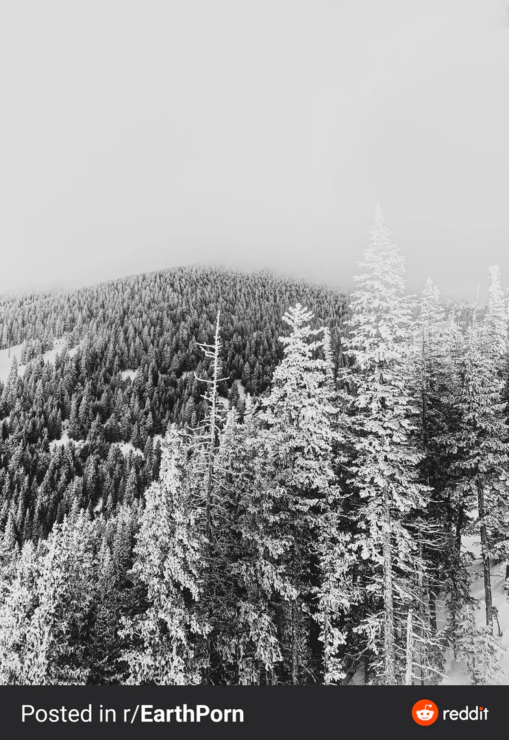 Ms. Love profile banner