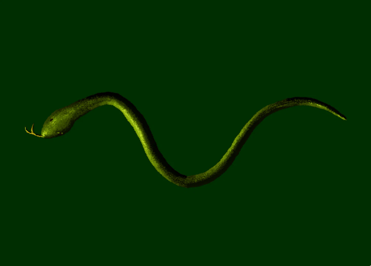 Karter profile banner
