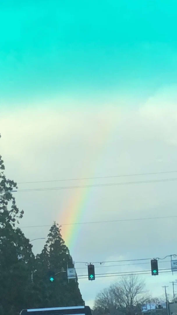 Bitty profile banner