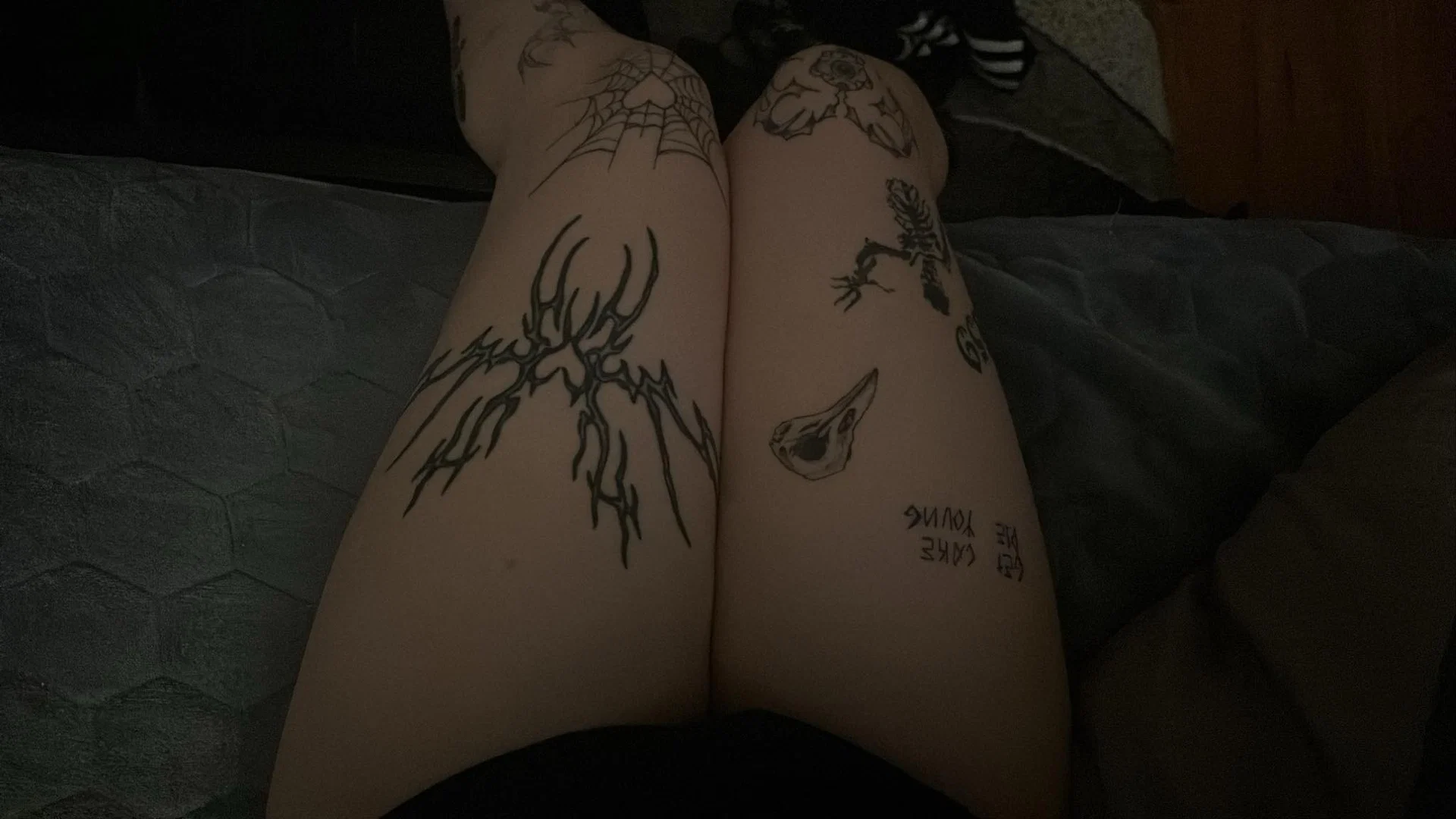 tattoedbabe profile banner