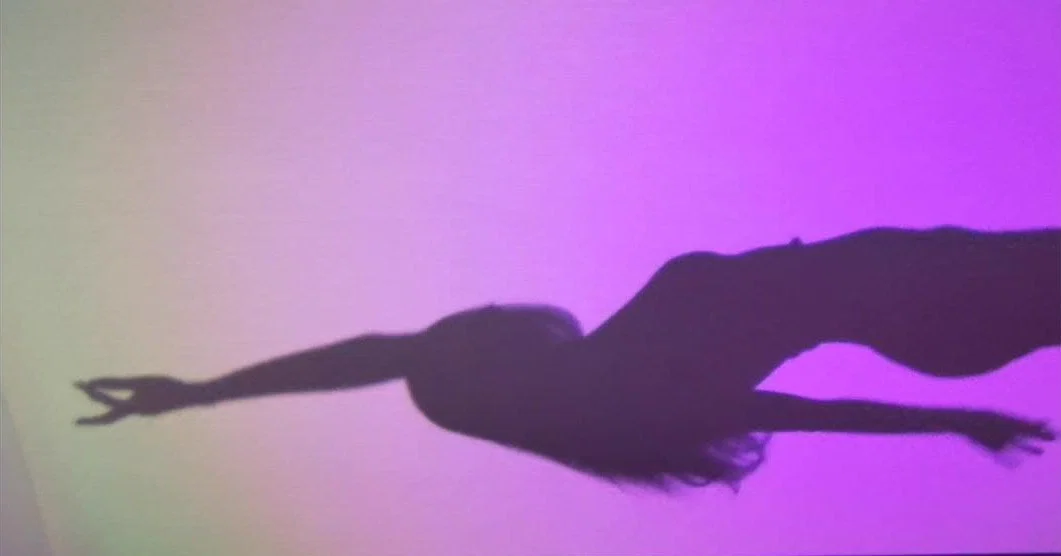 MollyD profile banner