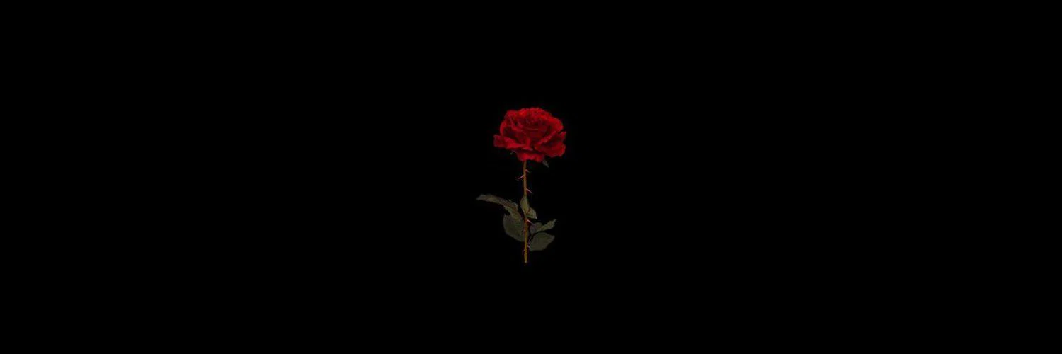 Stella Rose profile banner