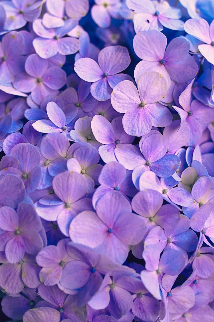 💜 Miss Beautyy’s Femme School 💜 profile banner