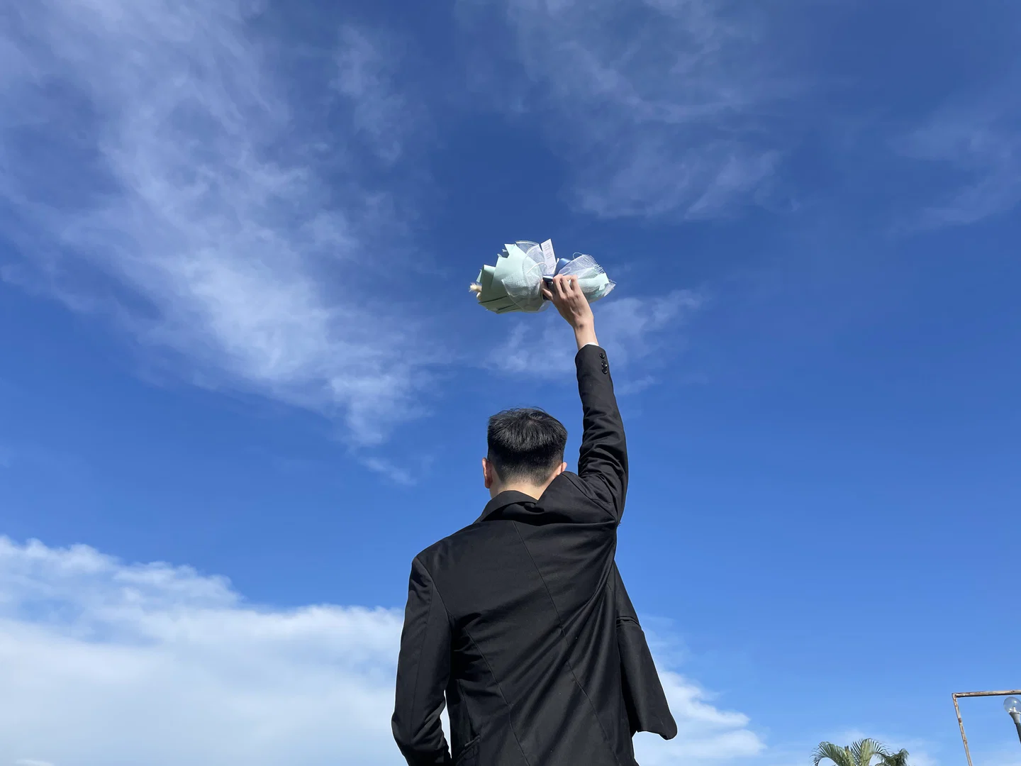 朝朝™ profile banner