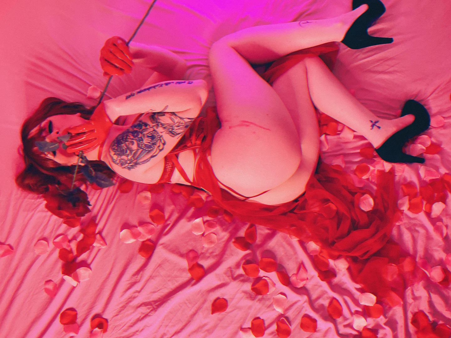Luna profile banner