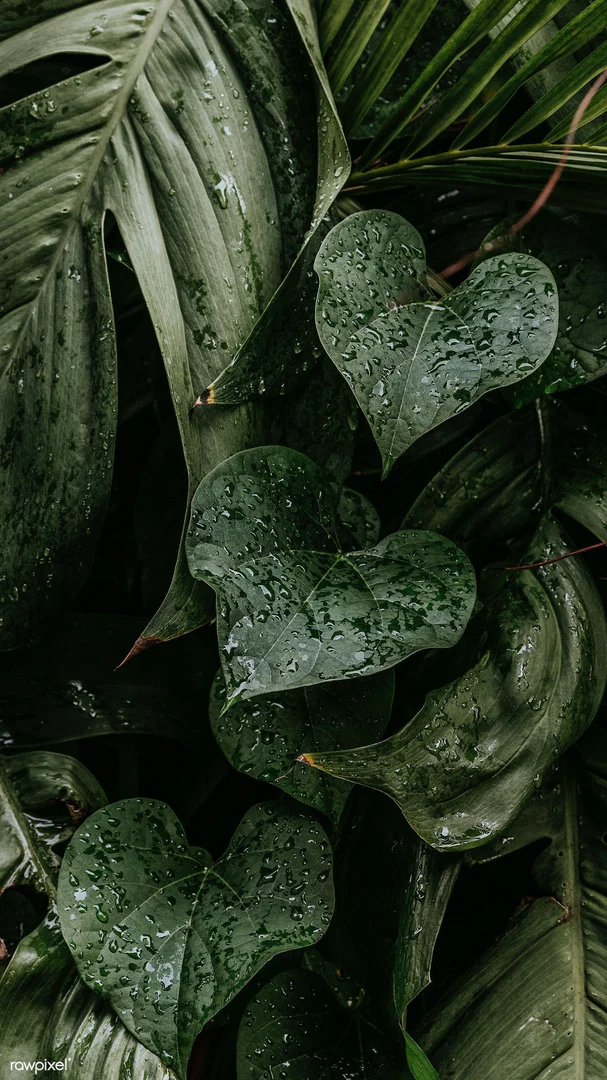 K! profile banner