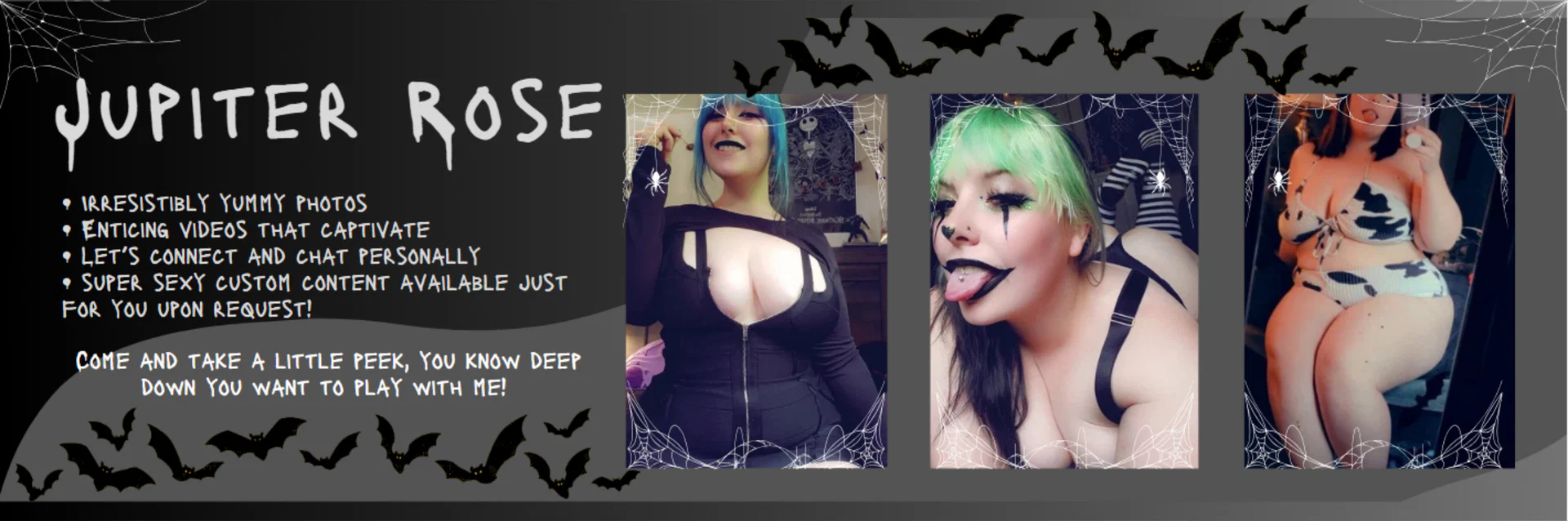 TheThickestKitty profile banner