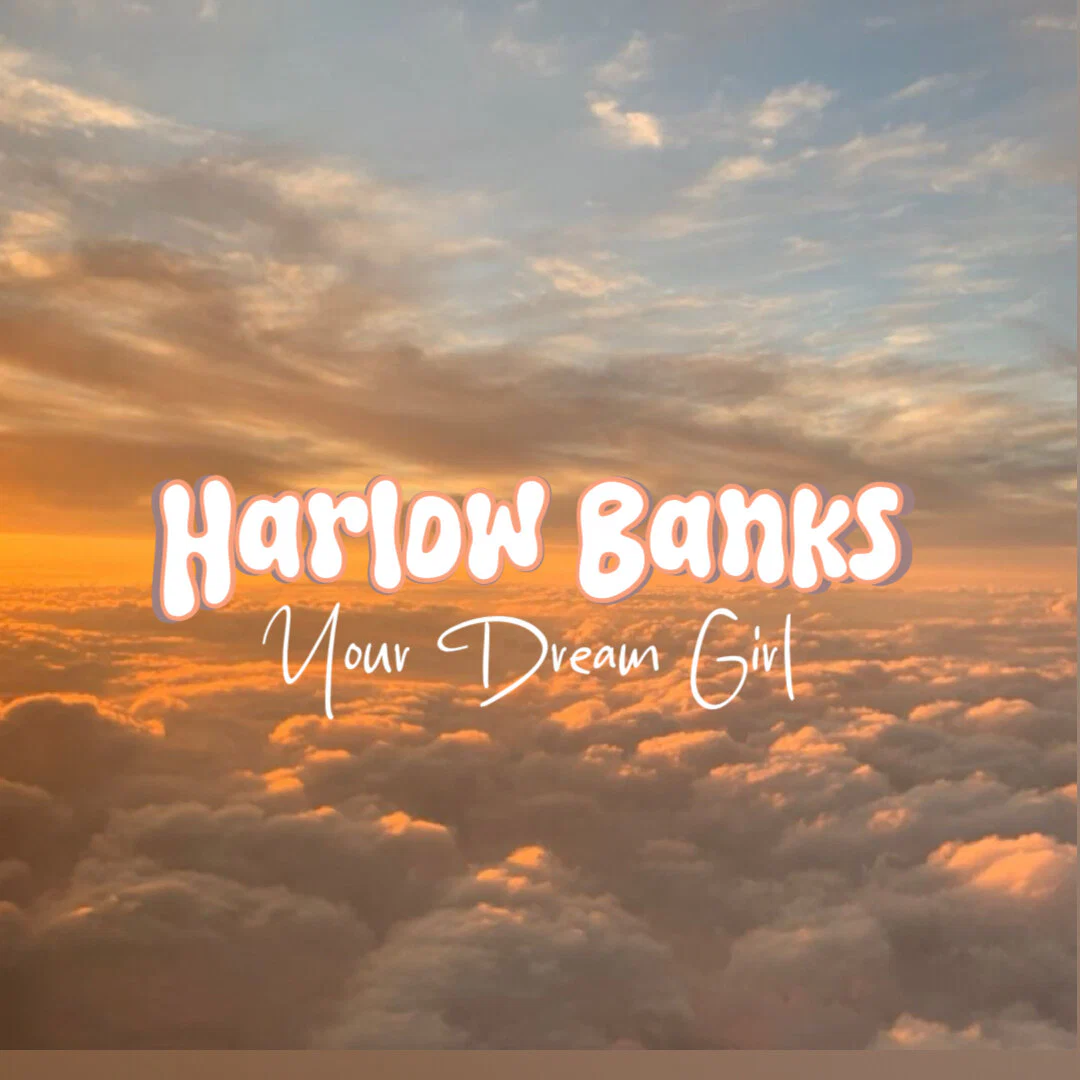 Harlow Banks profile banner