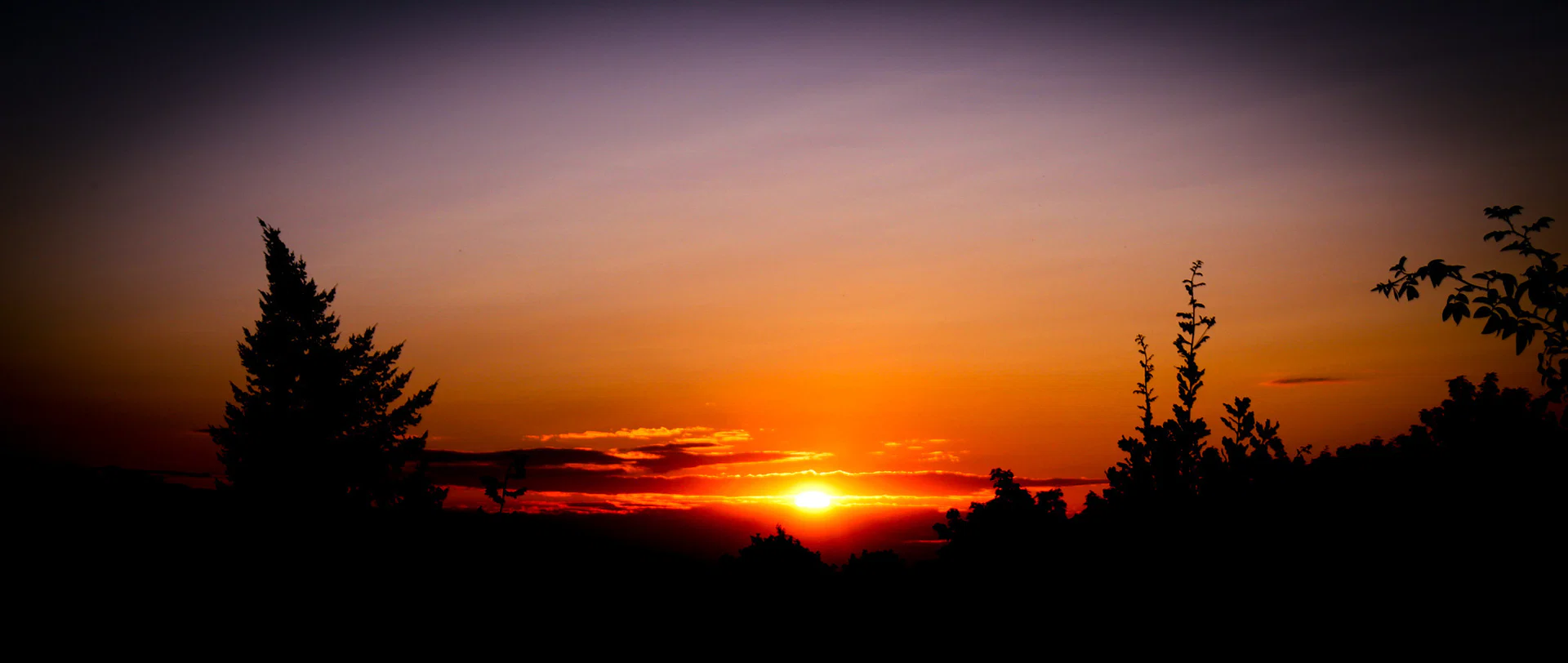 Natureboy profile banner
