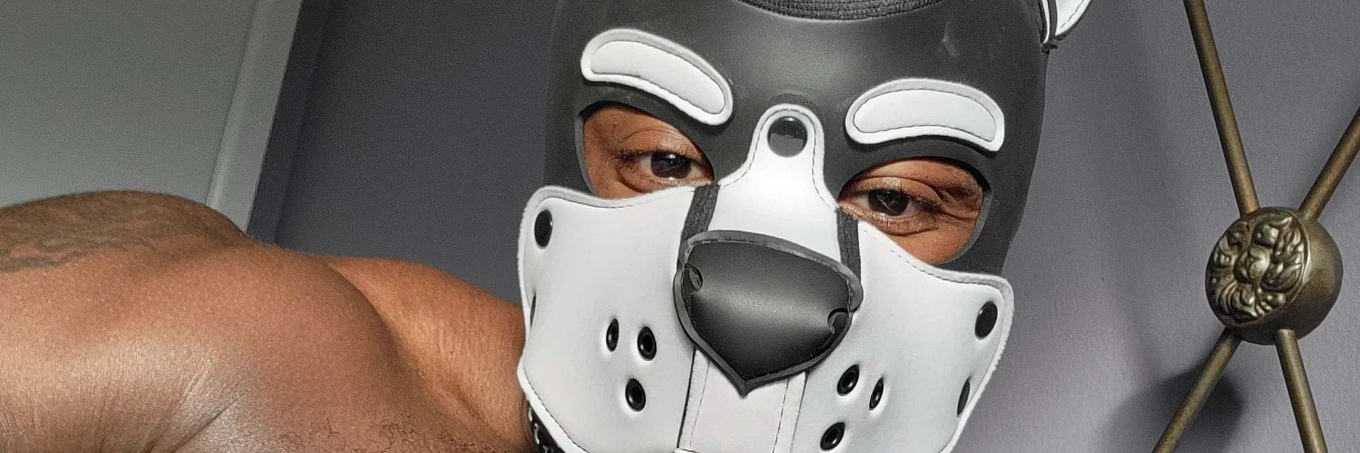 PupNamedTank profile banner