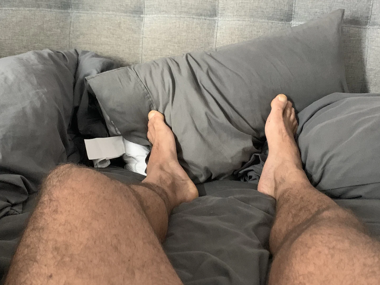 Thick French Dick profile banner