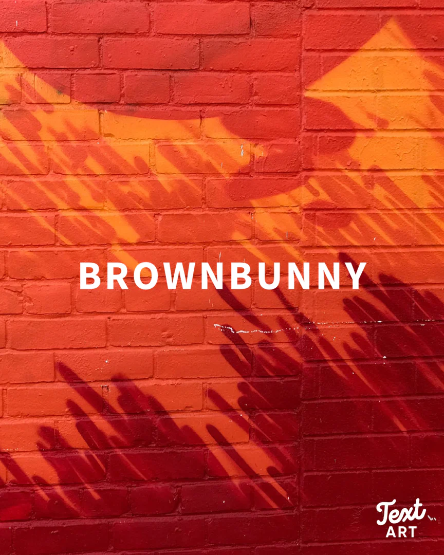 brownbunny profile banner