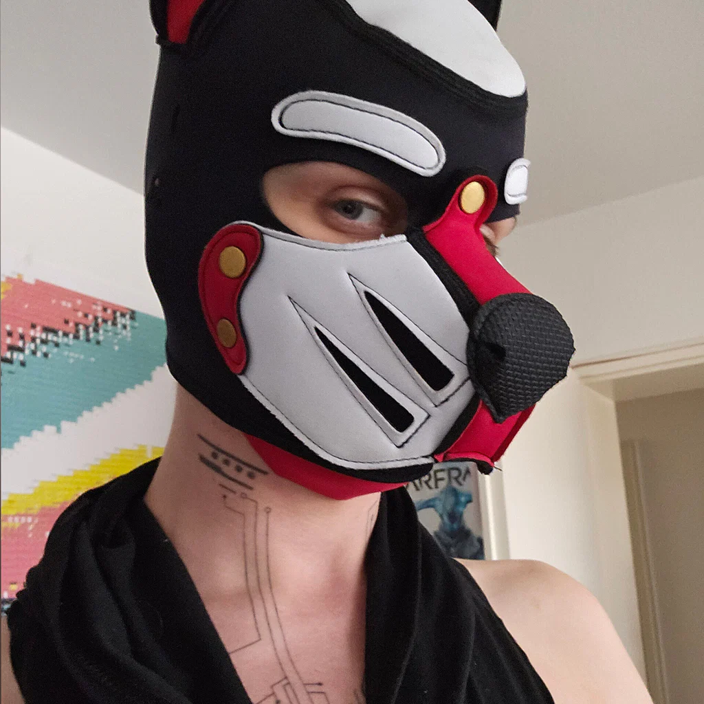 Destro the biting Pup