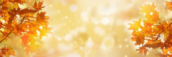 Autumn Everlyn🍁 profile banner