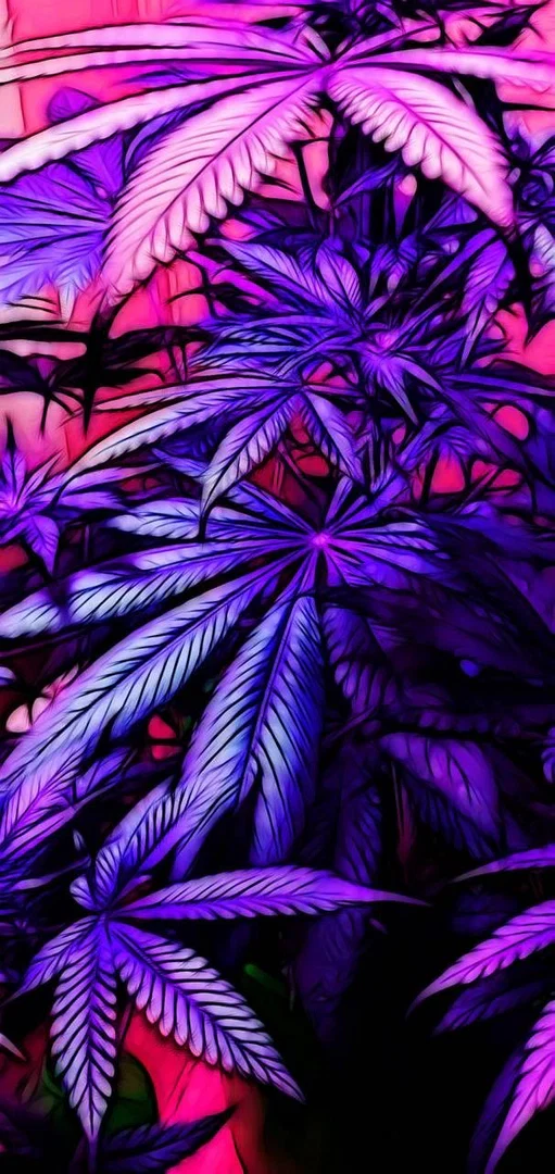 Molly x Rae profile banner