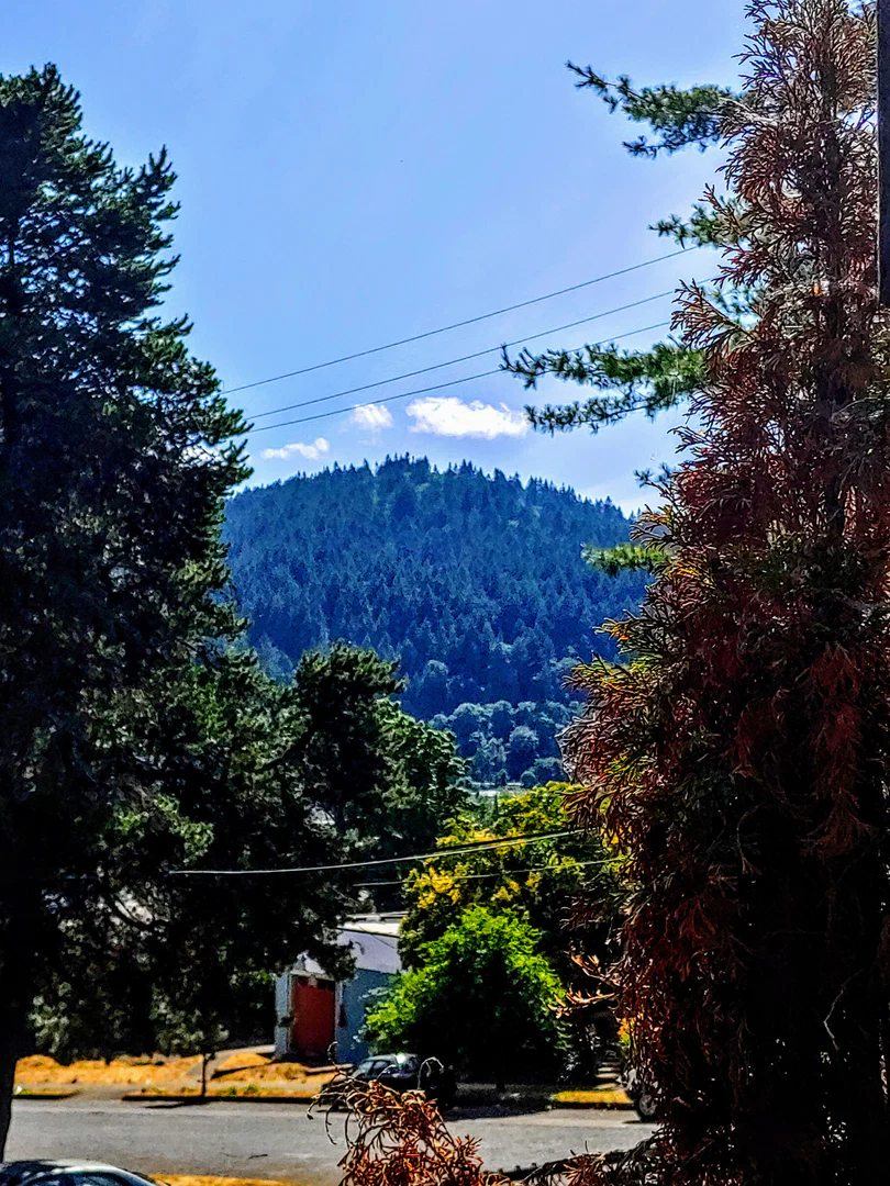 portlandguy89 profile banner
