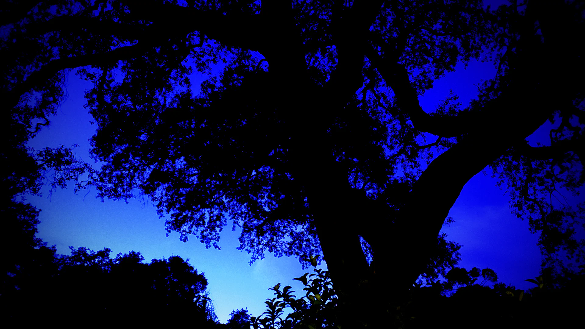 PleasantAme profile banner