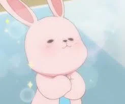 Bunny profile banner