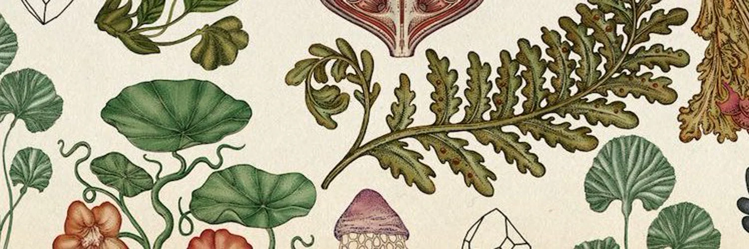 tanmi profile banner
