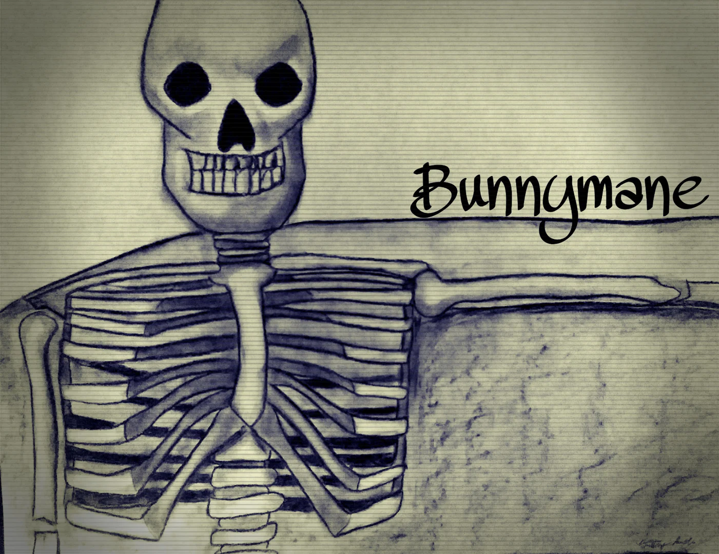 Bunnymane profile banner