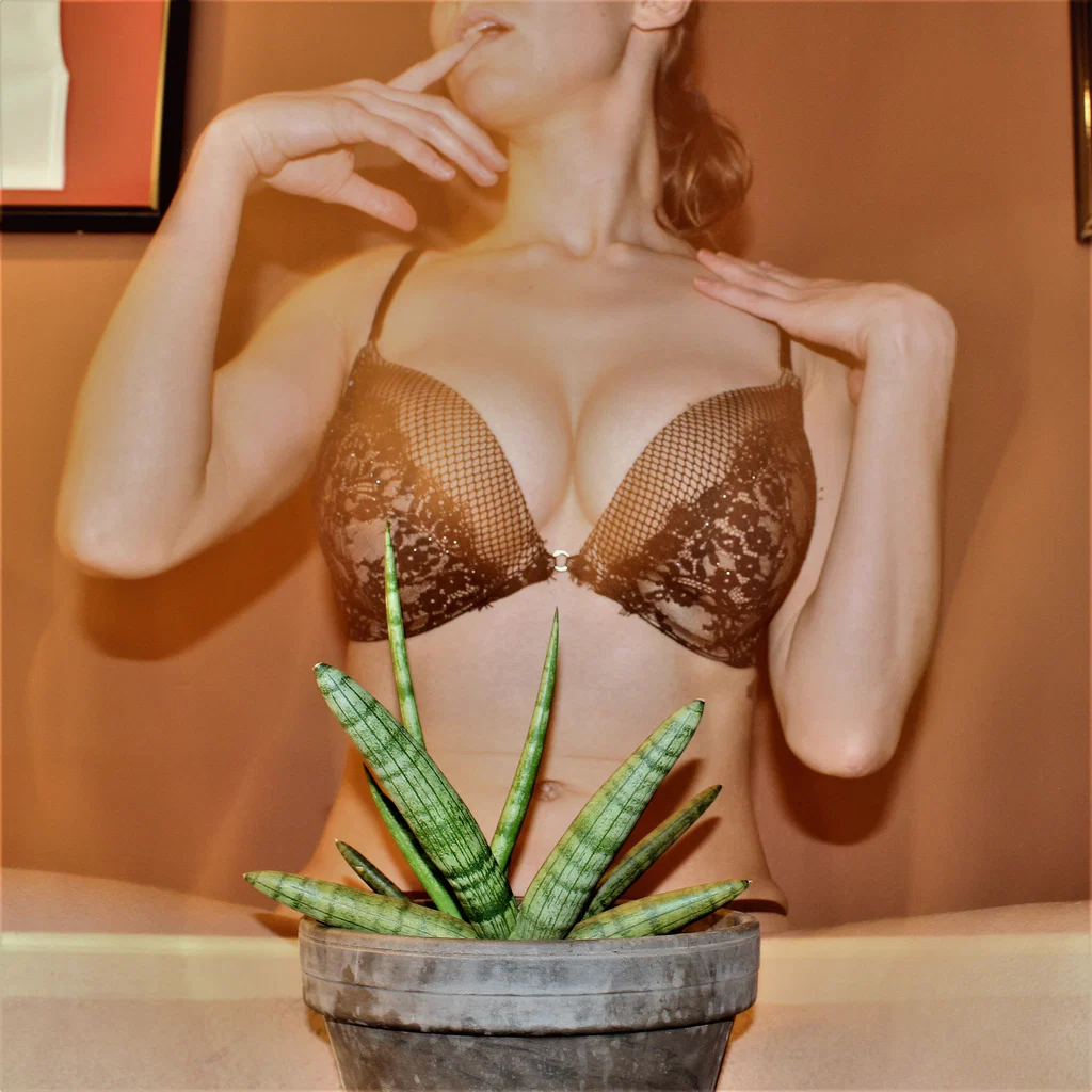 Busty Botany's avatar
