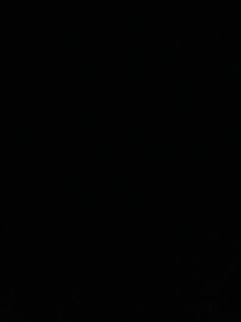 Jasmine and Aladdin profile banner