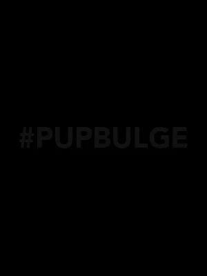 Pup Bulge's avatar