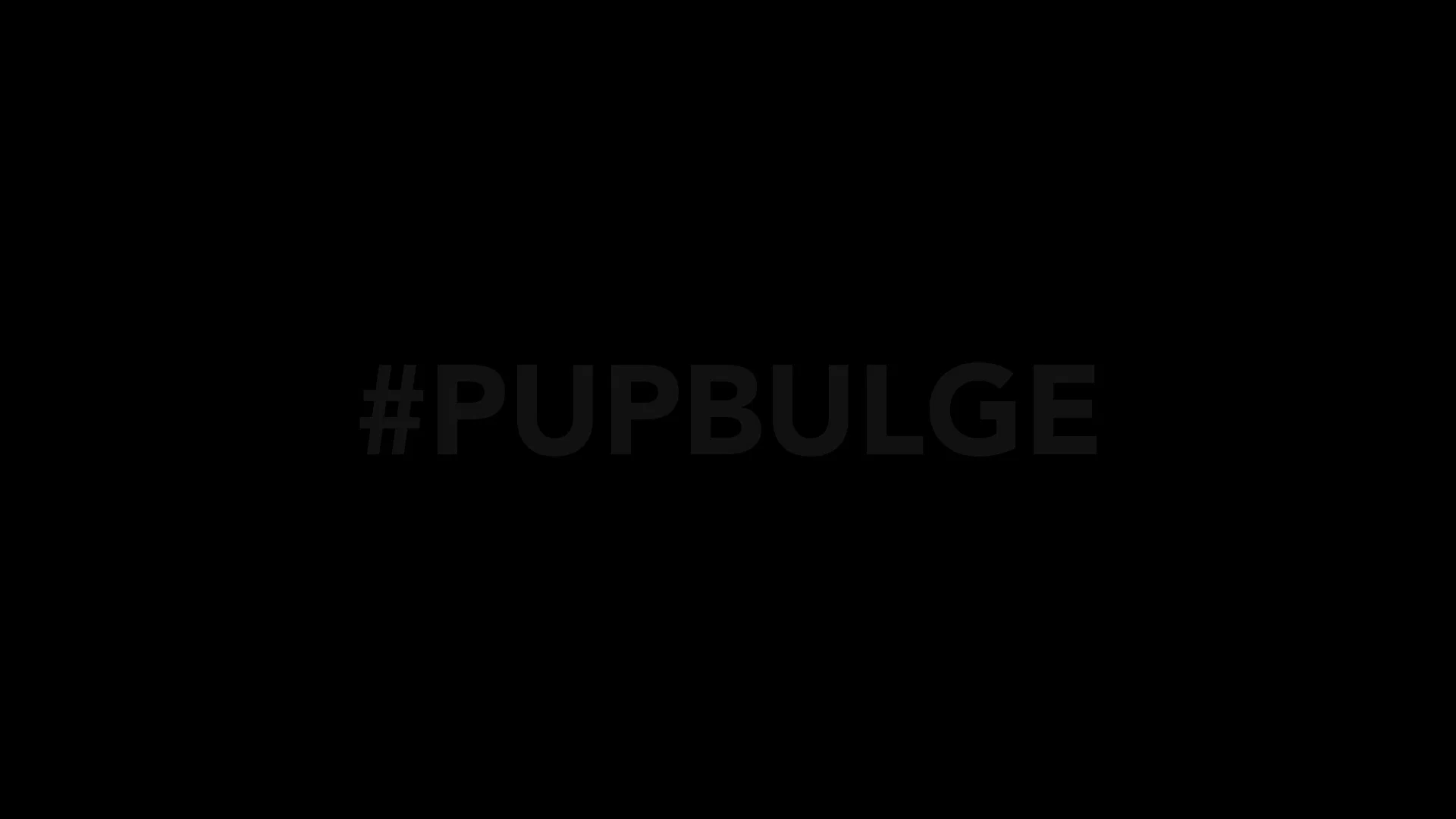 Pup Bulge profile banner