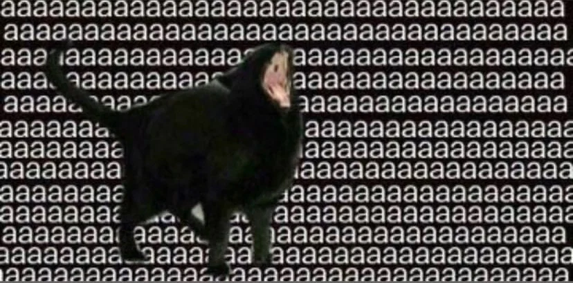 Kgmamacat profile banner