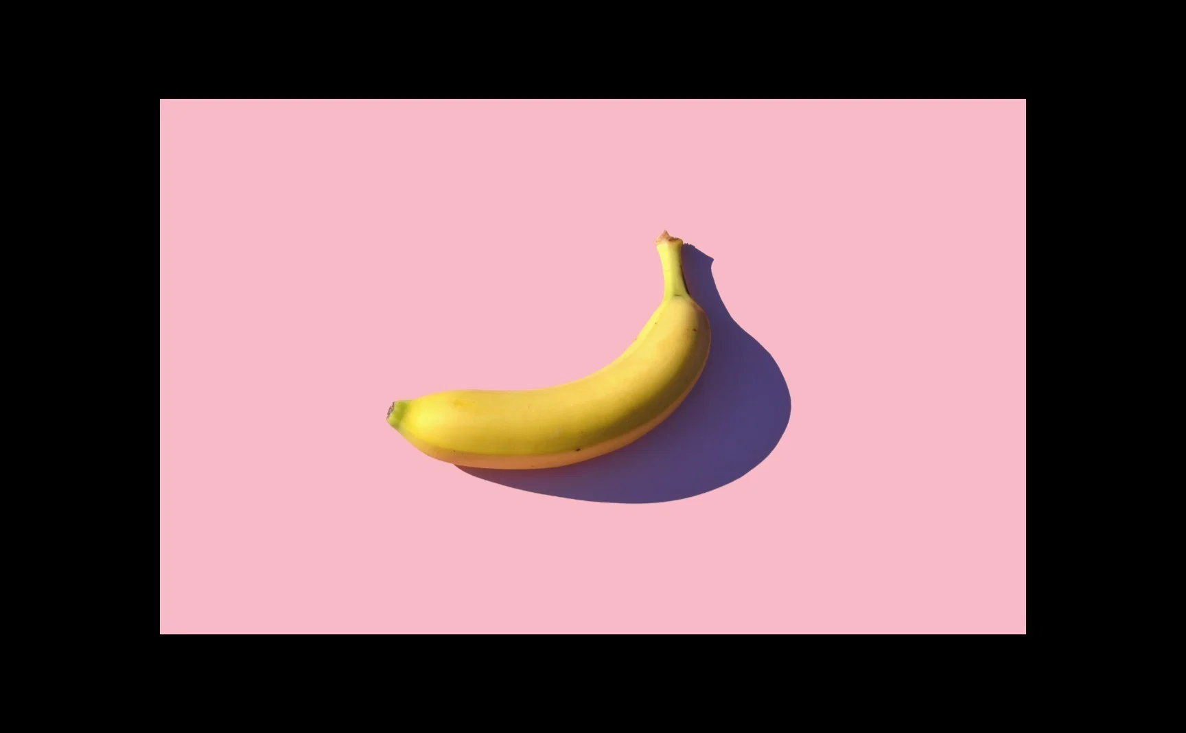 Alexa profile banner