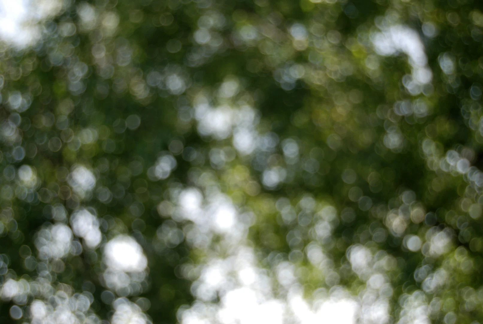Muffin Fluffin FREE profile banner