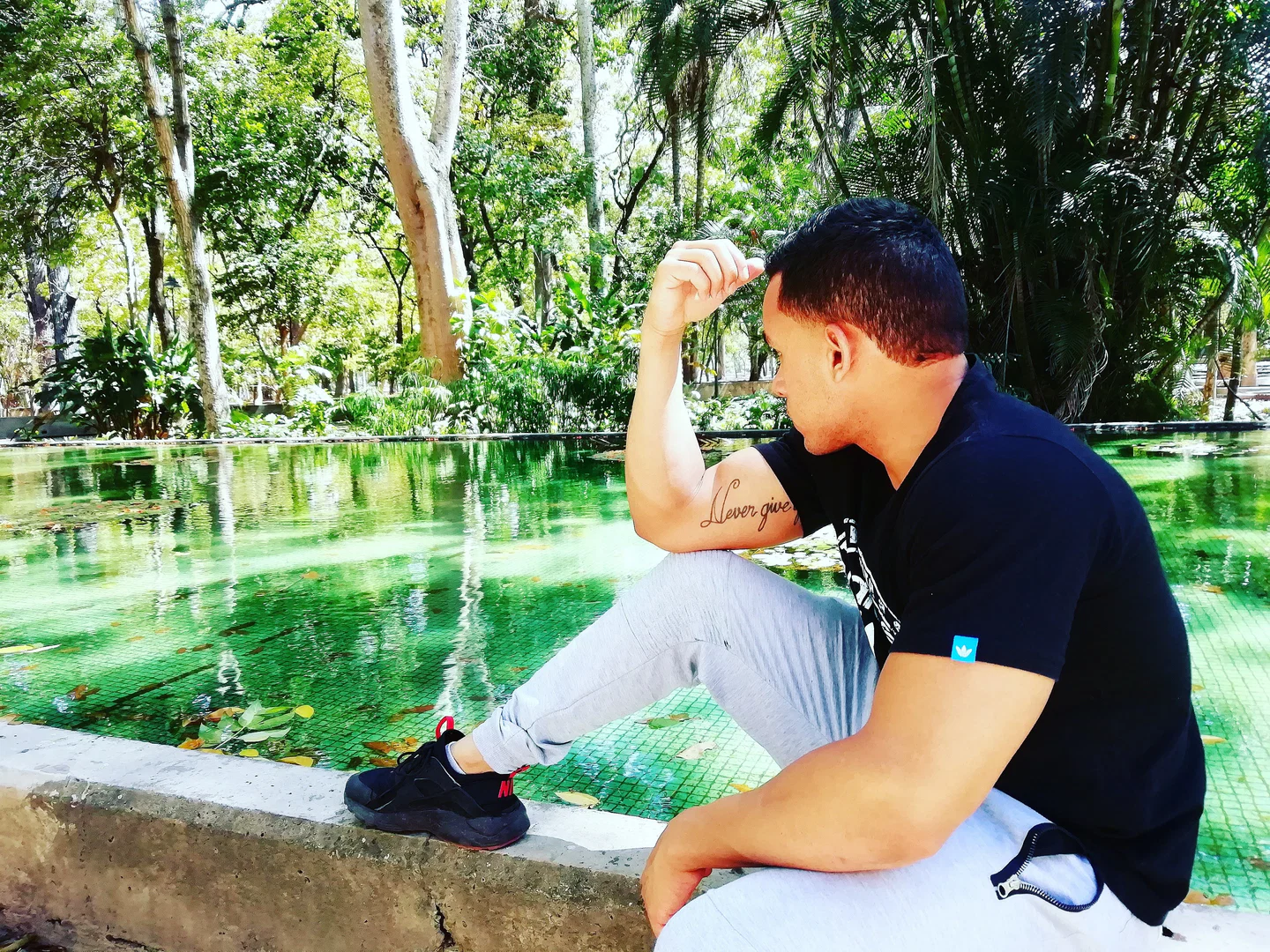 Carlos profile banner