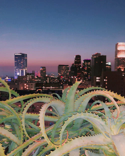 Nick D profile banner
