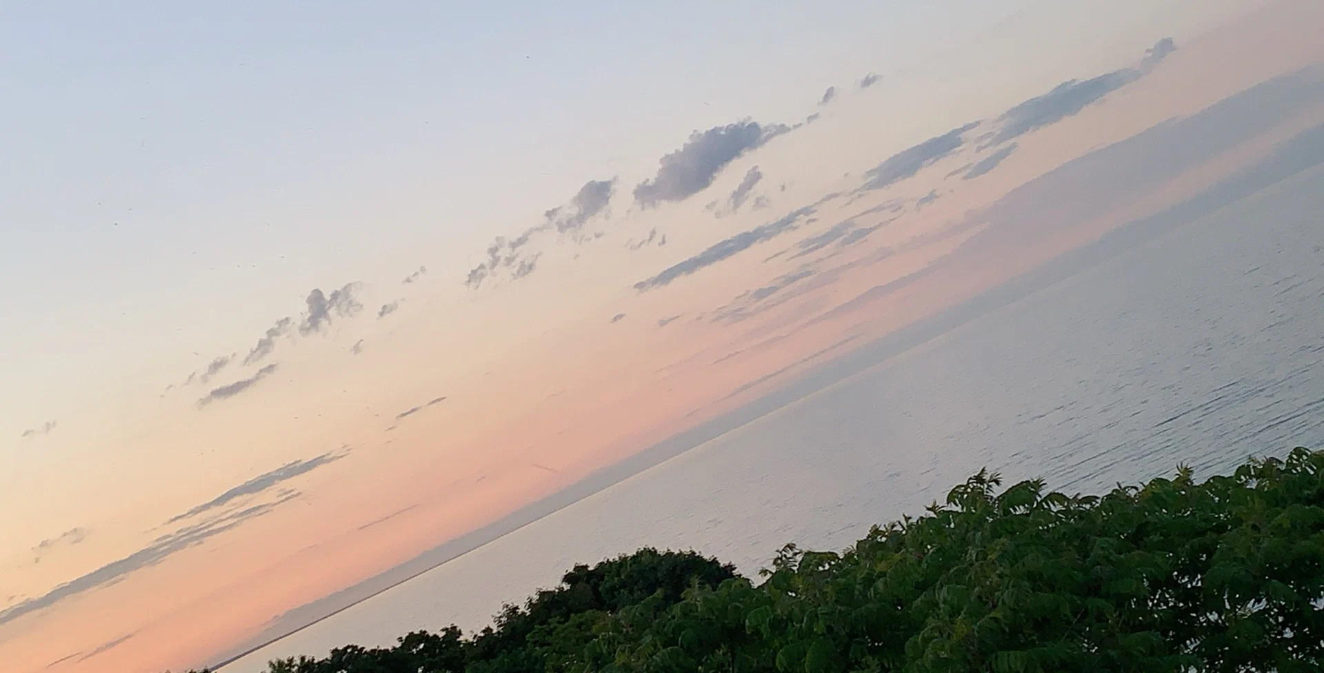 IndigoMoon12 profile banner