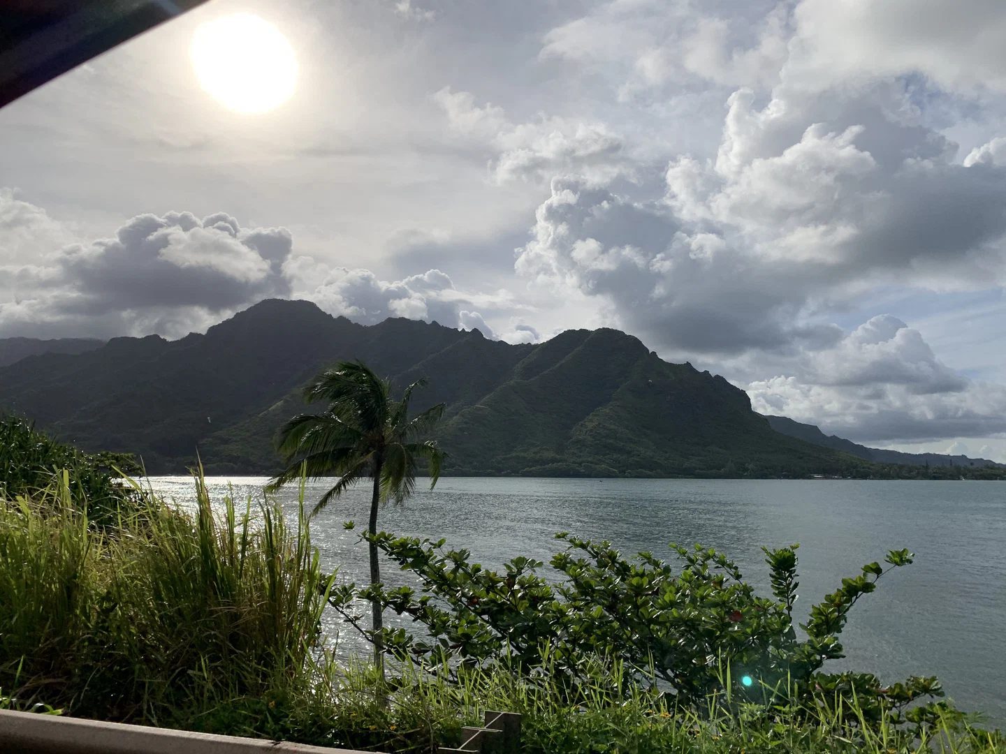 Kailani Moana profile banner