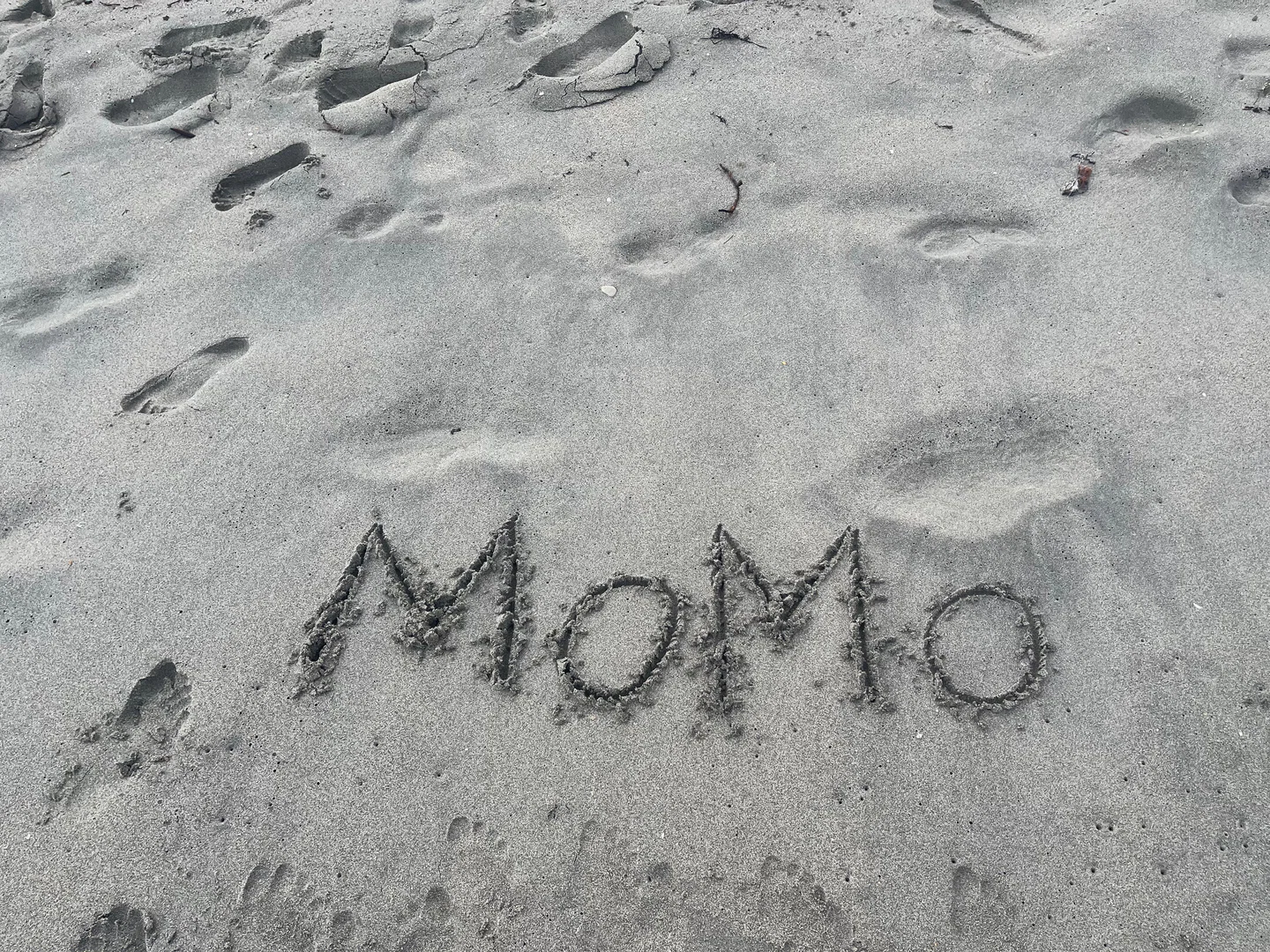 FREEMOMO profile banner