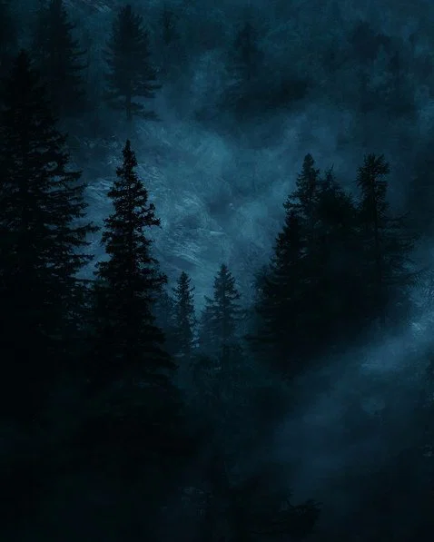 Elle π₯ profile banner