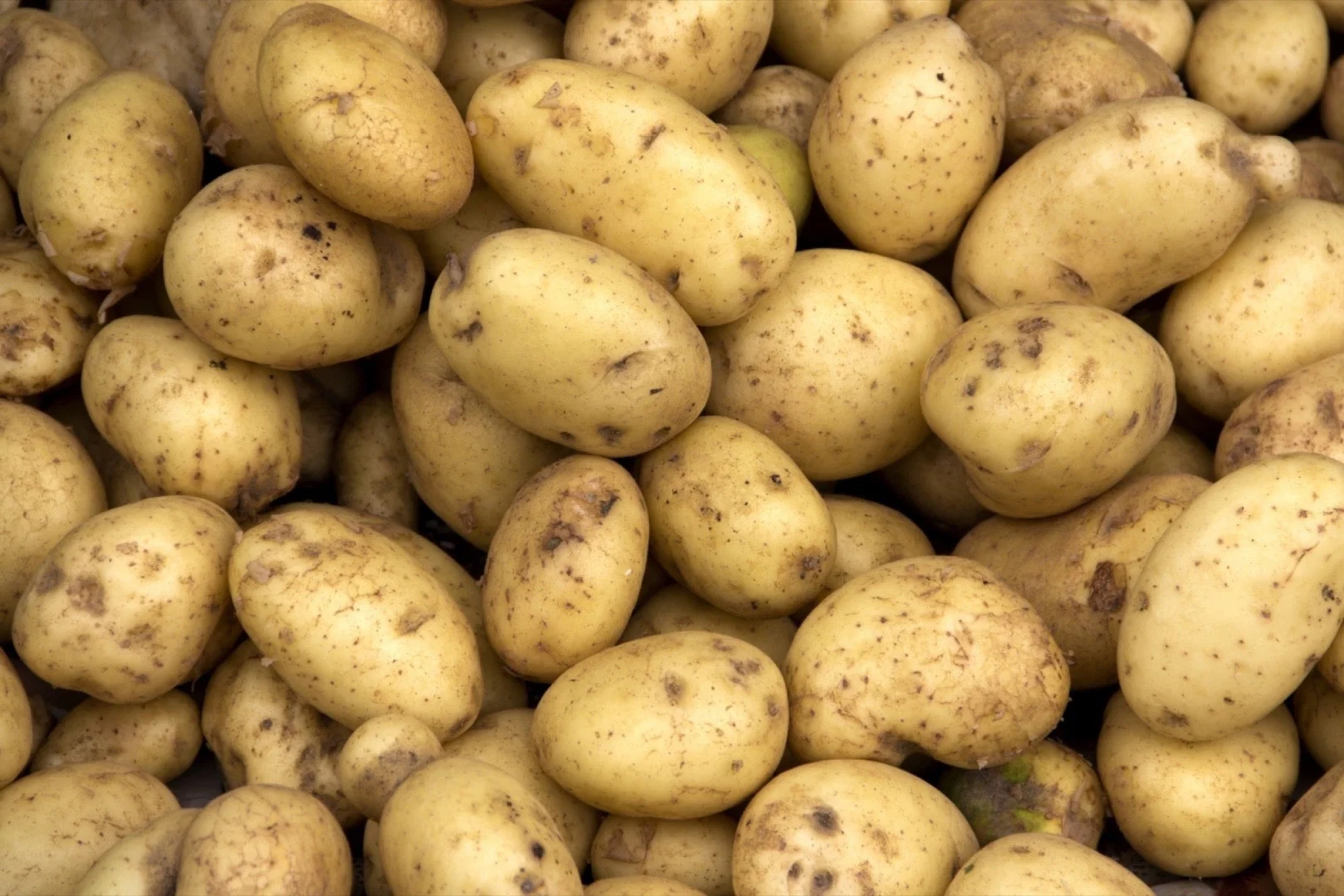 Potatoes profile banner